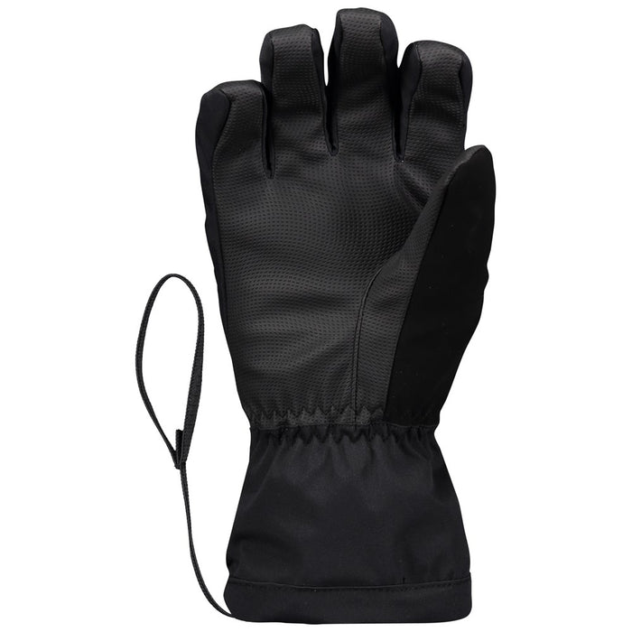 Ski Glove W's Ultimate GTX