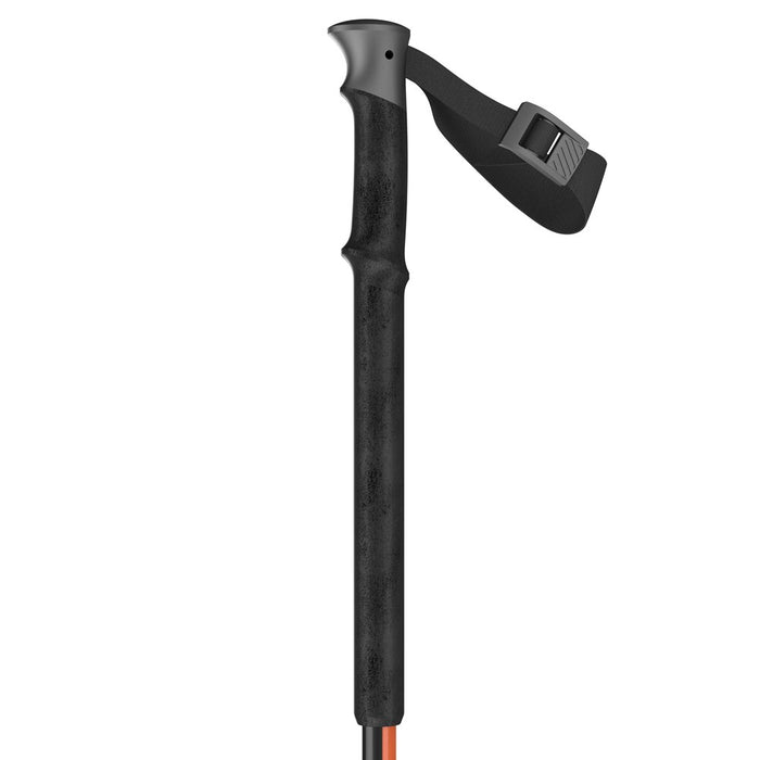 Ski Pole Aluguide