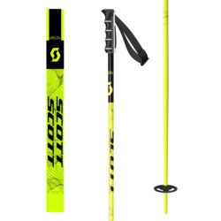 Ski Pole SEA